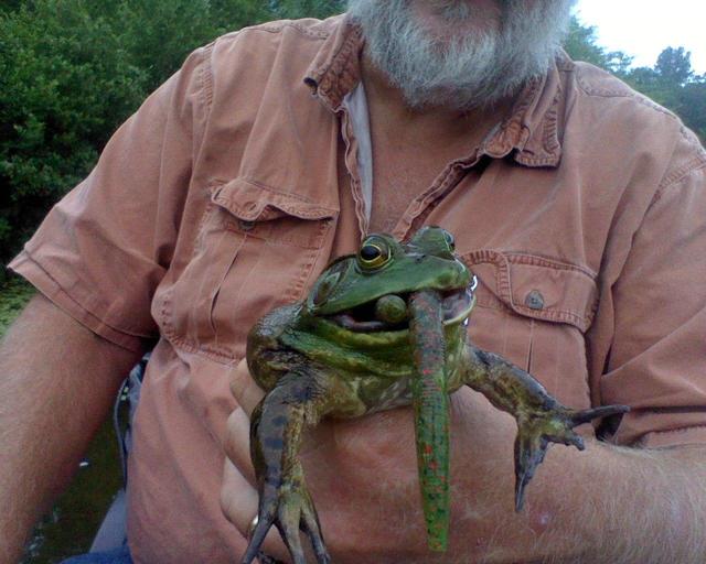 http://www.crappie.com/crappie/attachments/cms/168813d1405951534-frog1-jpg