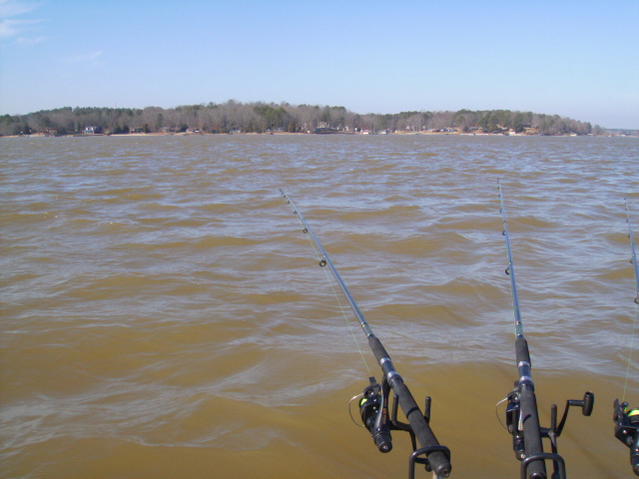 The Muddy Lake 125343d1368274529-muddy-water-fishing-lake-greenwood-jpg
