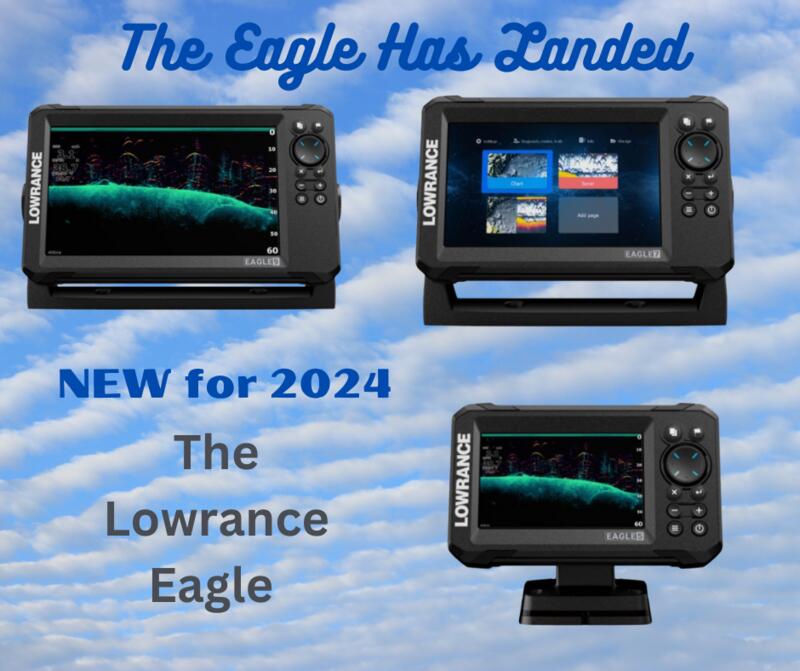 Name:  The Eagle has Landed.jpg
Views: 137
Size:  64.3 KB