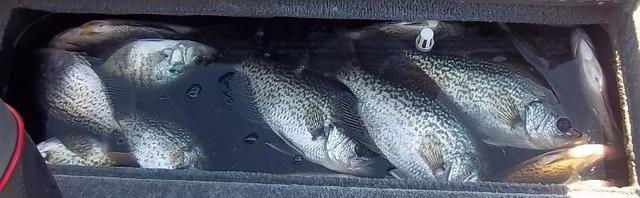 The ole Crappie Rig Report on Big G!