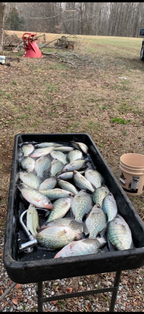 Name:  Crappie pic.png
Views: 392
Size:  482.1 KB
