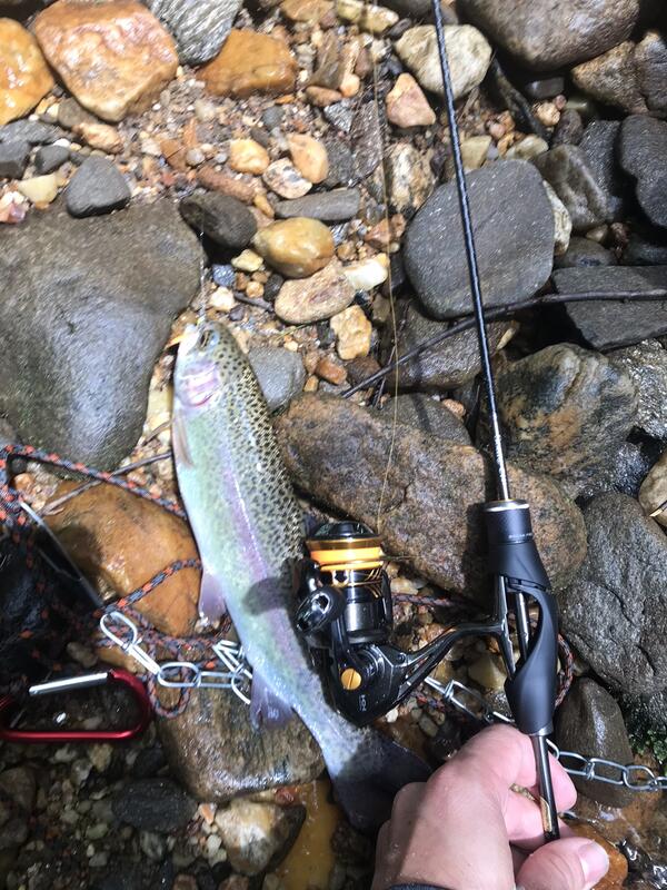 Shimano Soare Ci4 Ajing S408ul-s Ultra Light 48 Fishing Spinning Rod for sale online 