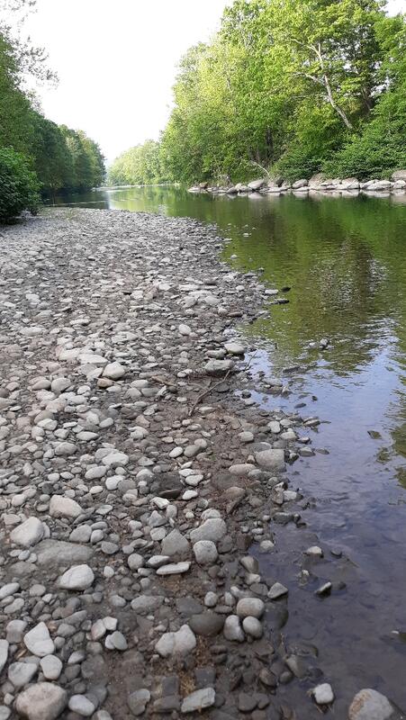 Name:  Wyalusing Creek 1   may 2021.jpg
Views: 239
Size:  96.3 KB
