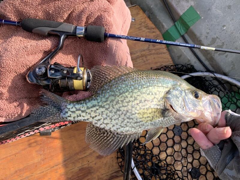 good length for ultralight panfish rod? 5' or 6'? for lake - Other Fish  Species - Bass Fishing Forums