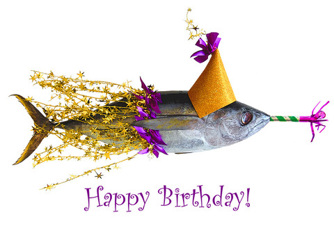 Name:  Happy-Birthday-Fish-Celebrating-Birthday-wb01606.jpg
Views: 4358
Size:  62.6 KB