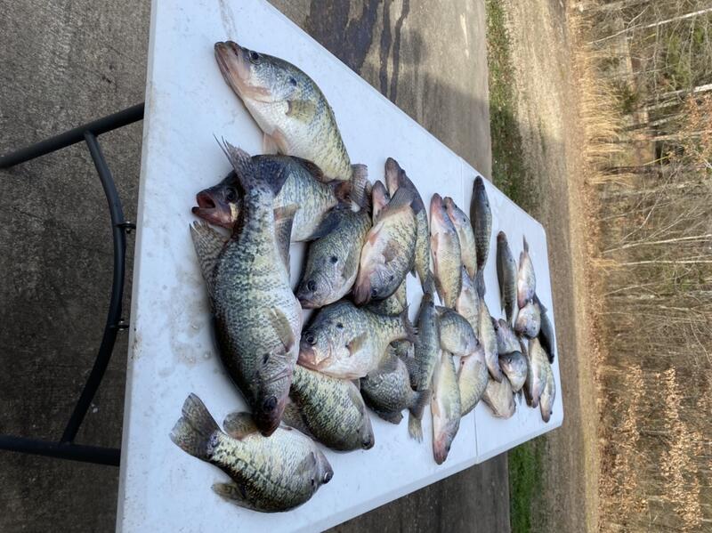 Got some fish in the cold