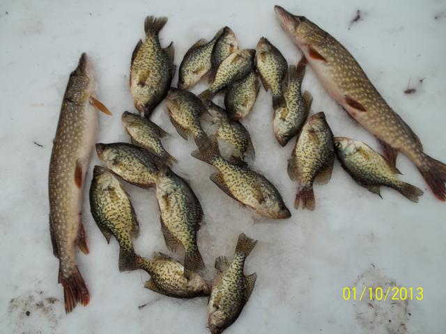  Crappie Day.