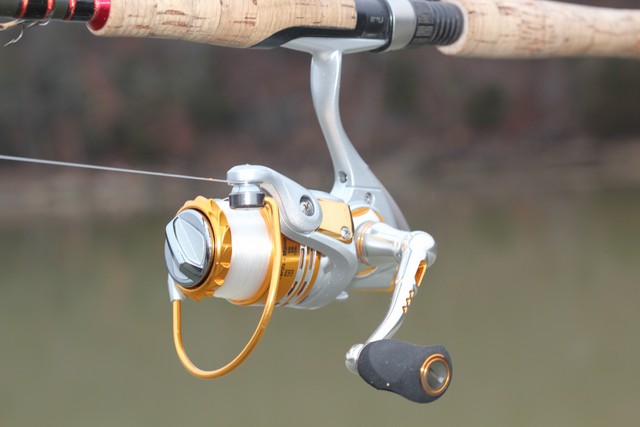  Catch More Fish without Tangles