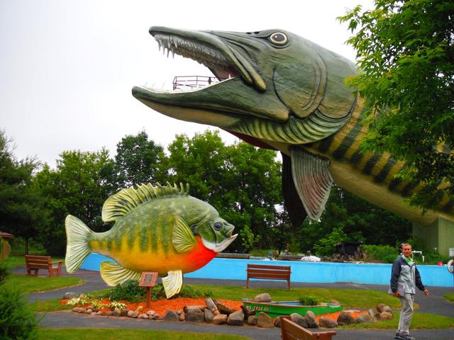  Biggest Bluegill Ever Hayward Wisconsin Freshwater Fishing  Hall Of Fame