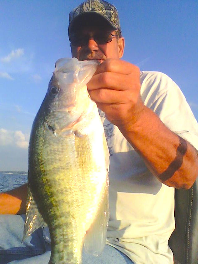  Crankbaits for crappie on Grenada Lake, home of the