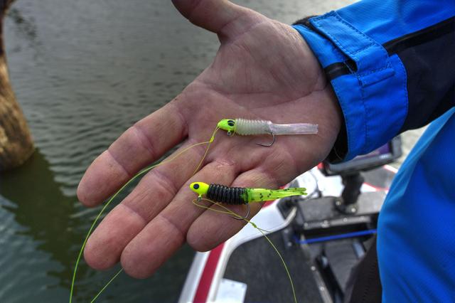  How to catch crappie off standing timber By Brad Wiegmann