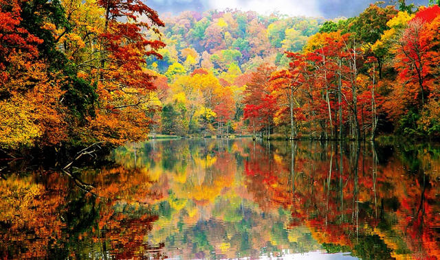 Name:  Autumn-in-Oklahoma-at-Beavers-Bend-State-Park.jpg
Views: 15642
Size:  102.3 KB