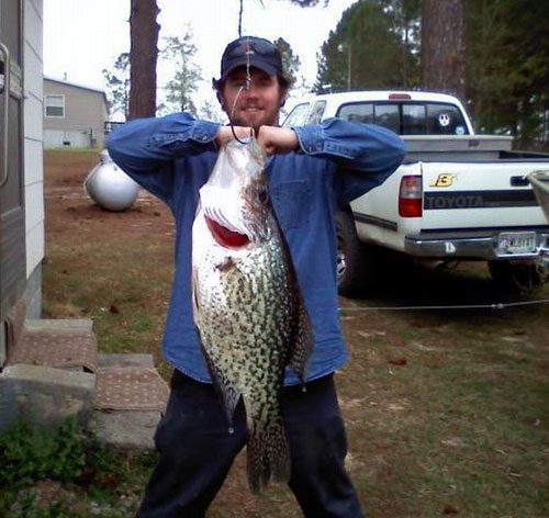 Name:  record-huge-crappie.jpg
Views: 906
Size:  57.9 KB