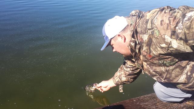 Name:  Crappie release.jpg
Views: 136
Size:  33.9 KB