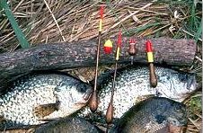Name:  crappie and blue gill.jpg
Views: 141
Size:  22.4 KB