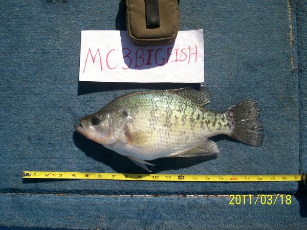 Name:  March 2011 crappie #2 003_1.jpg
Views: 550
Size:  55.4 KB