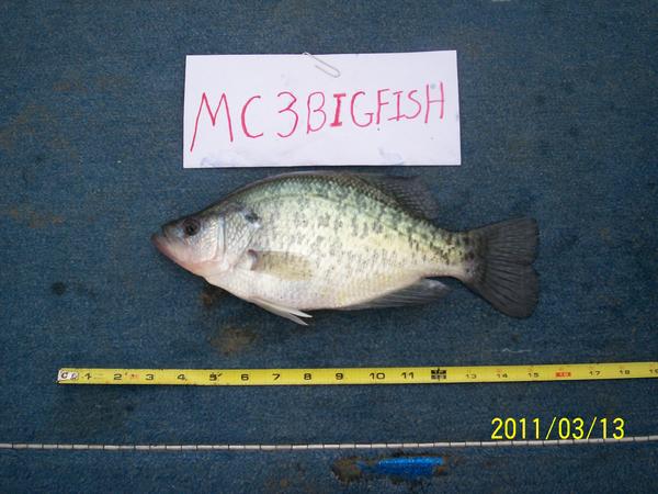 Name:  march 2011 crappie p[icture 113.jpg
Views: 522
Size:  43.6 KB