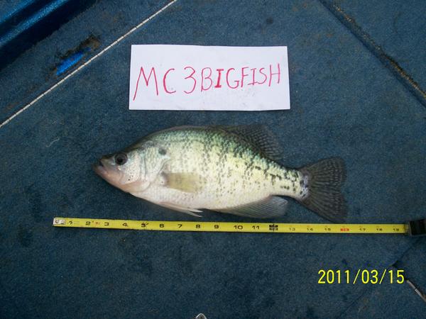Name:  March 2011 crappie #2 003.jpg
Views: 549
Size:  43.1 KB