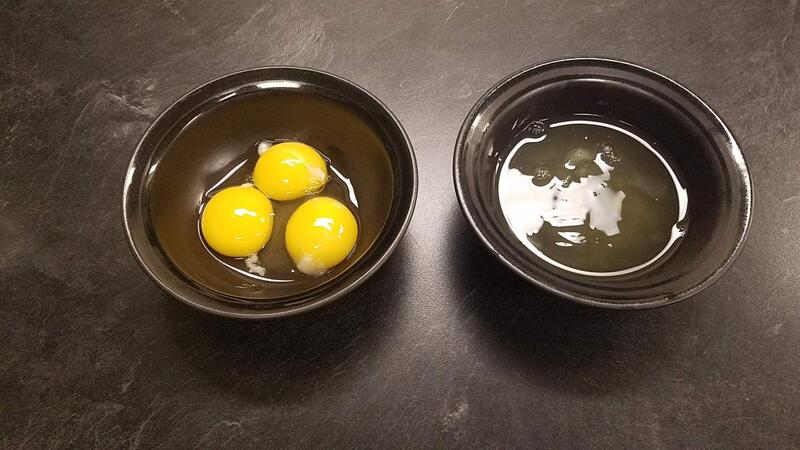 Name:  Eggs Separated.jpg
Views: 4031
Size:  57.1 KB