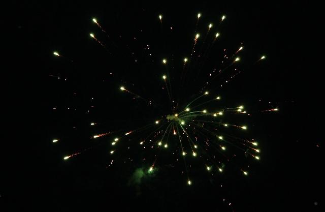 Name:  Fireworks 5.jpg
Views: 280
Size:  13.8 KB