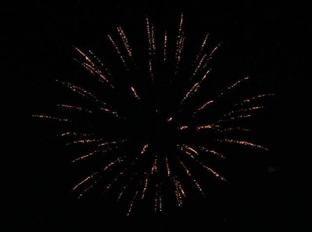 Name:  Fireworks 7.jpg
Views: 283
Size:  15.7 KB