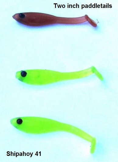 Name:  Squid and Minnow.jpg
Views: 378
Size:  35.3 KB