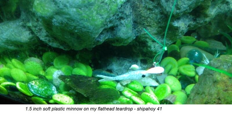 Name:  Flathead teardrop with plastic minnow.jpg
Views: 941
Size:  53.0 KB