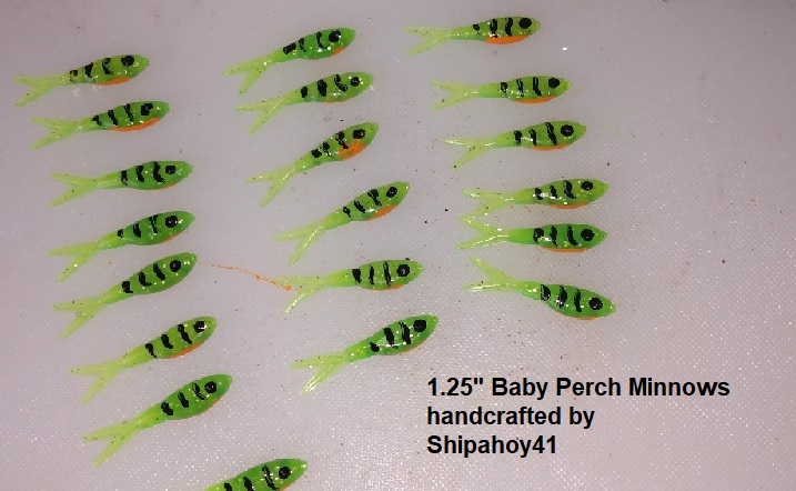 Name:  Baby Perch Minnows.jpg
Views: 370
Size:  105.1 KB