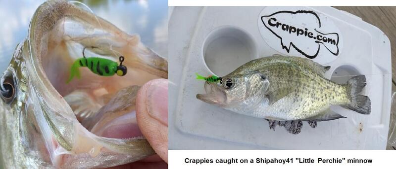 Name:  A Crappie caught on shipahoy41 minnow.jpg
Views: 187
Size:  41.0 KB