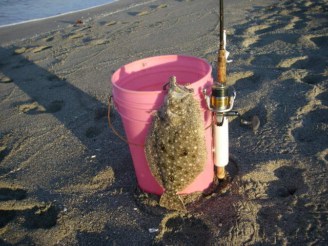 Name:  flounder pink bucket.jpg
Views: 290
Size:  76.2 KB