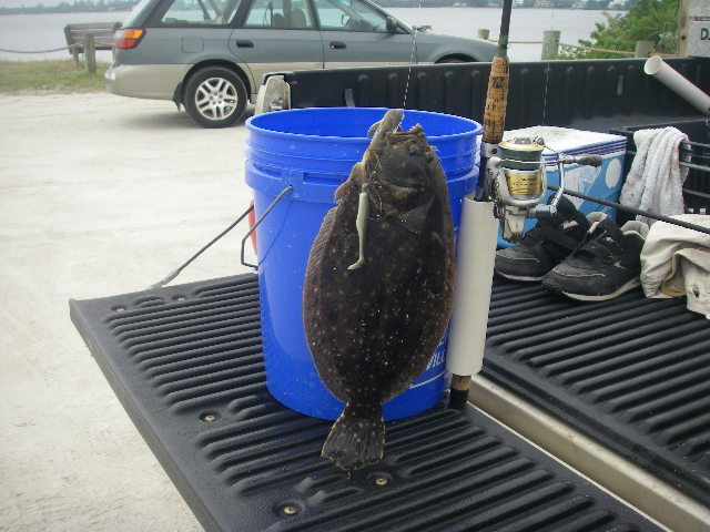 Name:  flounder blue bucket& slayer paddle tail.JPG
Views: 368
Size:  126.7 KB