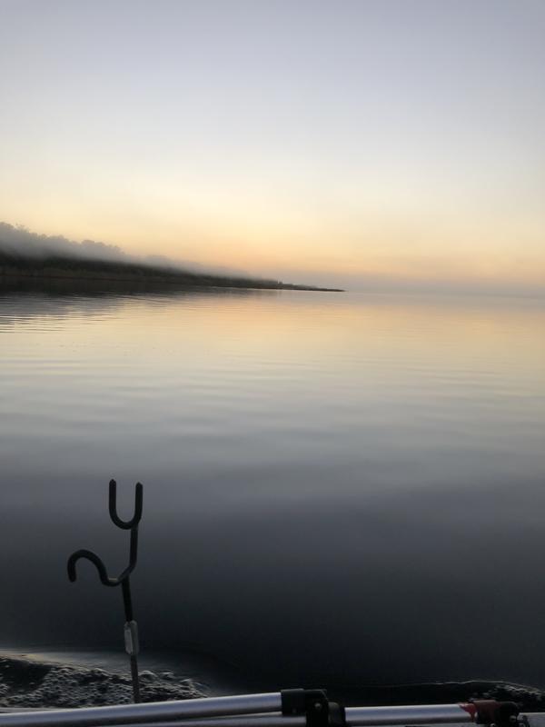 Name:  fishing fog 12-9-19 (1) jpeg.jpg
Views: 366
Size:  21.9 KB