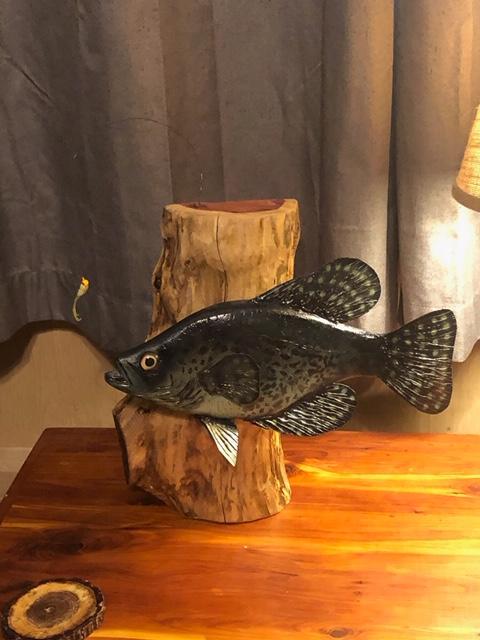 Name:  Wood fish.jpg
Views: 539
Size:  40.1 KB