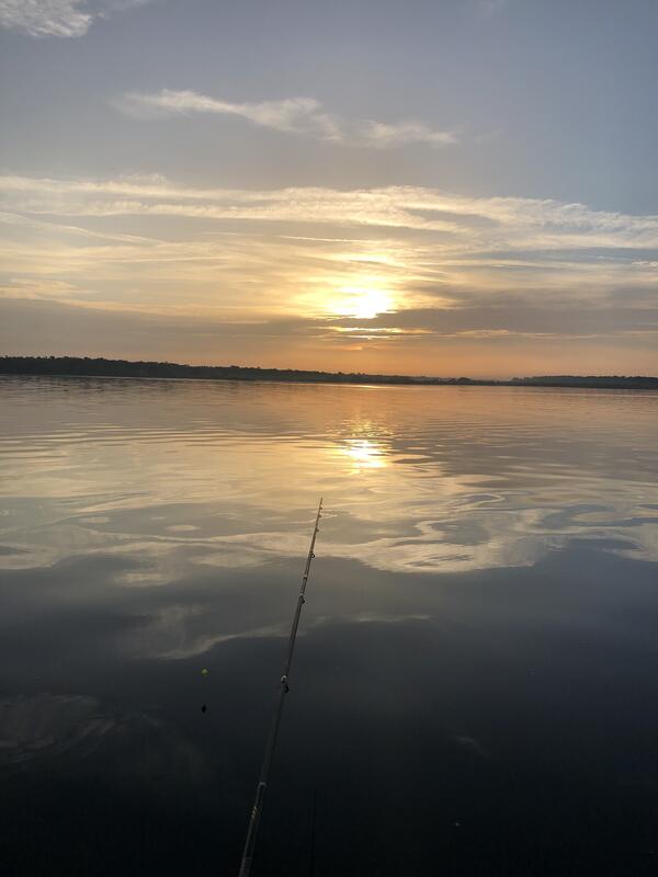 Name:  Crappie fishing 9-8-21 ( sunrise ) jpeg.jpg
Views: 262
Size:  32.4 KB