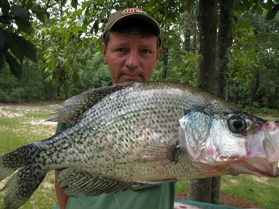 New World Record Crappie Page 2