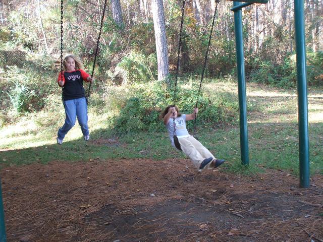 Name:  The girls on the swing.jpg
Views: 829
Size:  100.3 KB