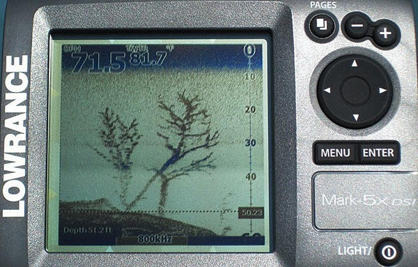 Name:  Mark 5X DSI Standing Tree.jpg
Views: 16966
Size:  63.1 KB