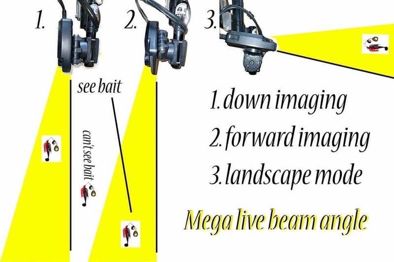 Hummingbird Mega Live Imaging (View Perspective)
