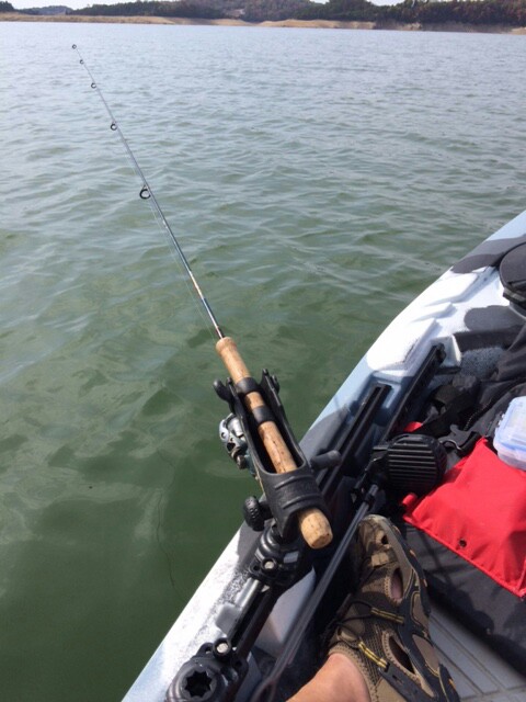 10 ft or longer fishing rods update.