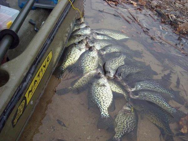 The Best Fishing Combo for Crappie Fishing From a Kayak - Pescador