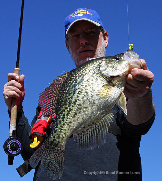 Name:  Rons 2 75 Crappie Road Runner.jpg
Views: 1071
Size:  66.3 KB