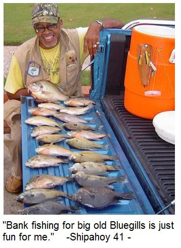 Name:  FISHING FOR GILLS.JPG
Views: 480
Size:  82.4 KB
