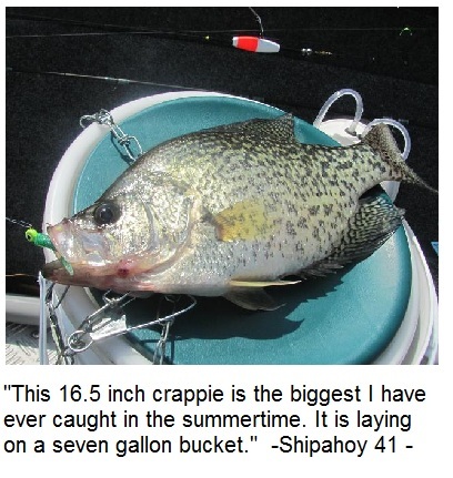 Name:  Fish on  7 gallon bucket.JPG
Views: 476
Size:  86.3 KB