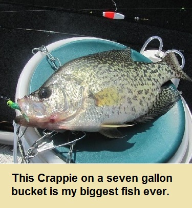 Name:  Fish on  7 gallon bucket.JPG
Views: 3000
Size:  72.7 KB