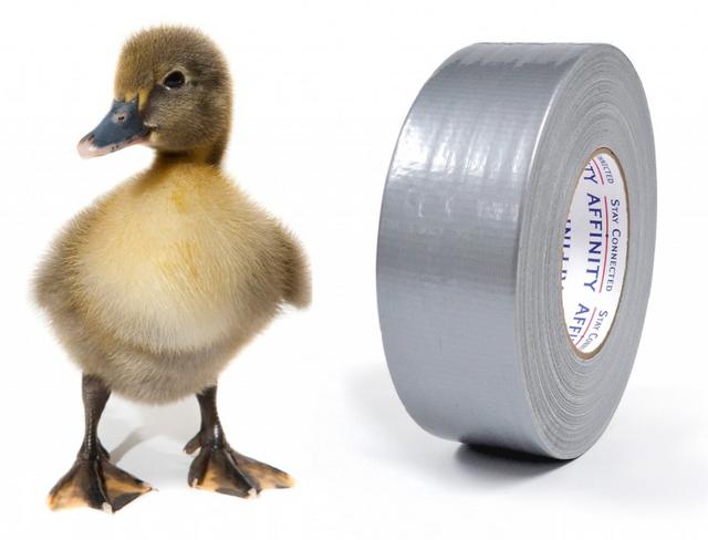 Name:  duck-tape-for-blog-7-10-1024x780.jpg
Views: 1014
Size:  26.7 KB