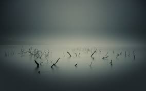 Name:  fog covered lake.jpg
Views: 286
Size:  3.0 KB