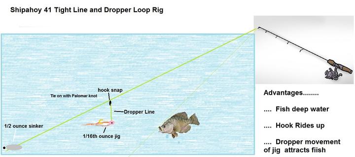 Name:  Tight Line and Dropper Rig Drawing.jpg
Views: 6000
Size:  33.1 KB