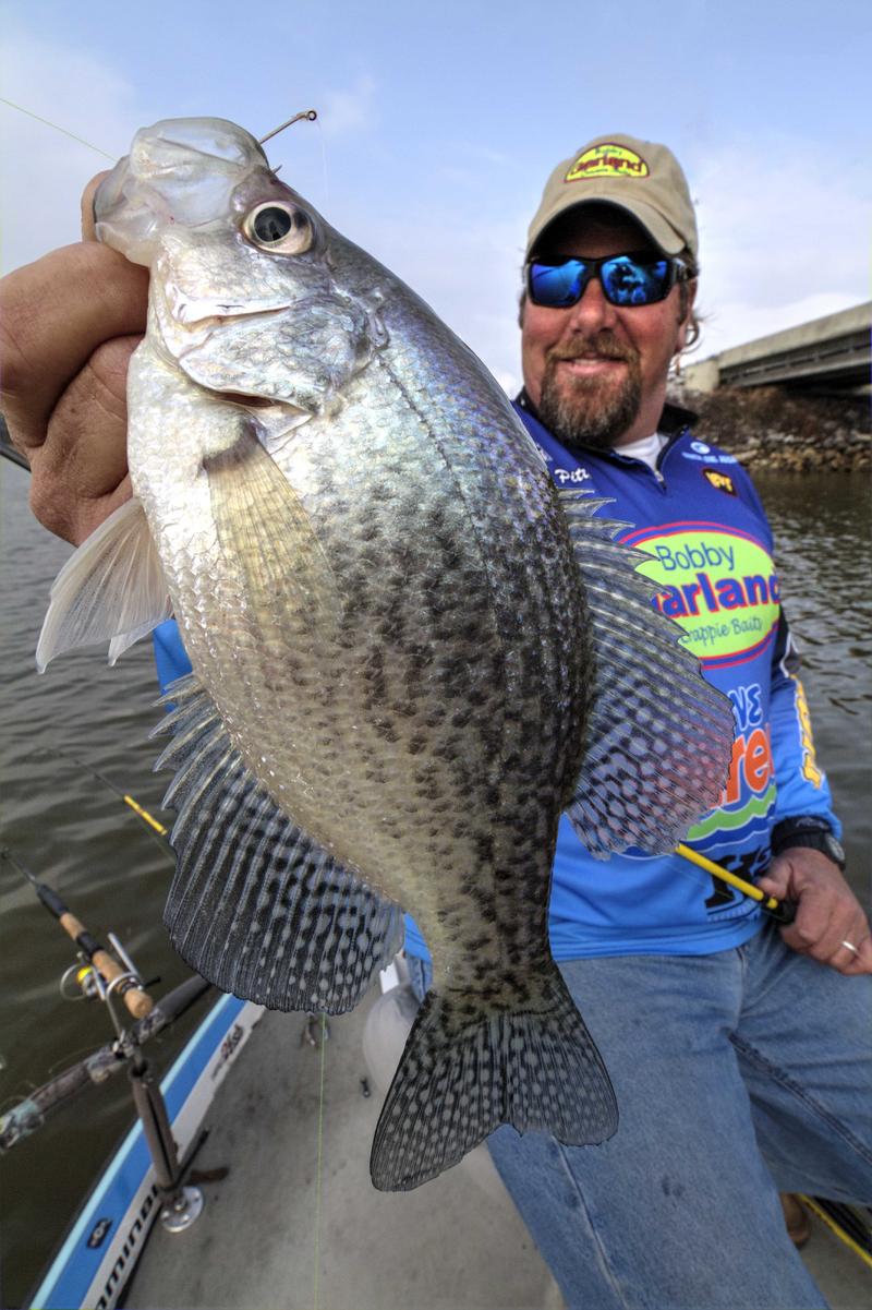 Name:  Lee Pitts for crappie com article Brad wiegmann.jpg
Views: 1025
Size:  139.1 KB