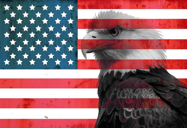 Name:  bald-eagle-american-flag-dan-sproul.jpg
Views: 438
Size:  58.4 KB