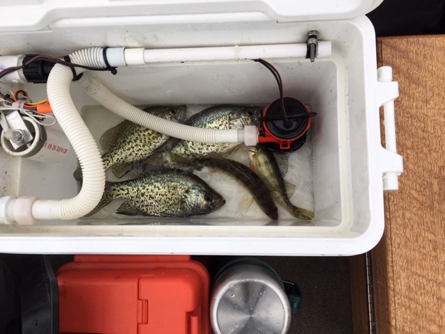 https://www.crappie.com/crappie/attachments/main-crappie-fishing-forum/343410d1558254867-livewell-cooler-please-share-pics-ideas-img_5668-jpg